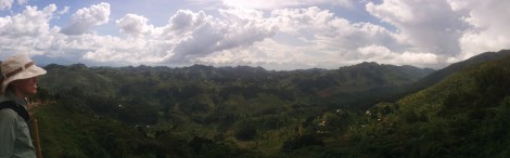 Panorama from the gorilla walk.